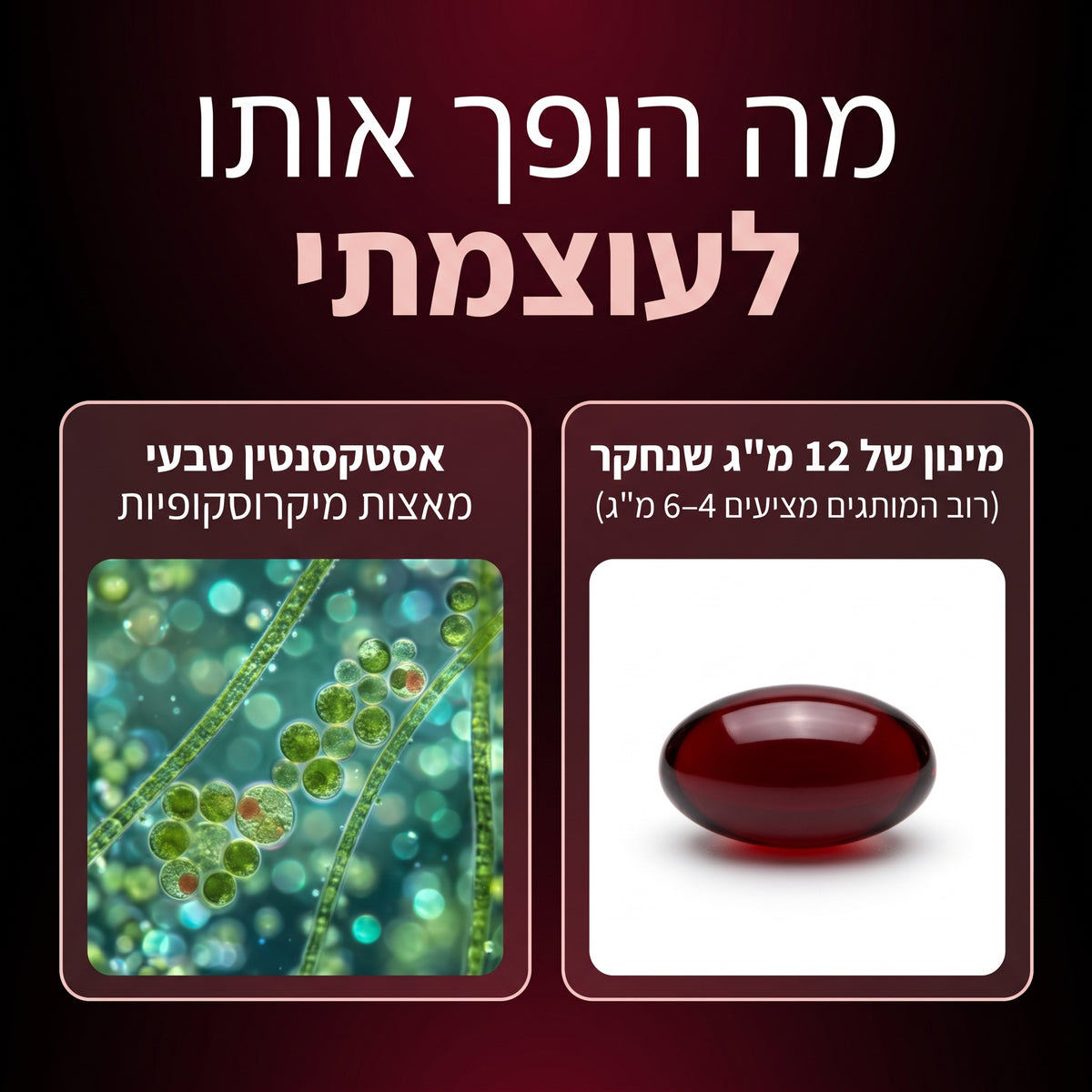 רשף כמוסות אסטקסנטין